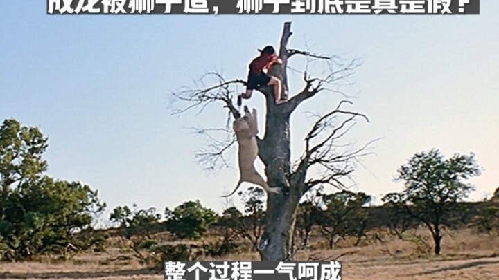 هل تعتقد أن هذه اللقطة التي يطاردها فيها الأسد حقيقية أم مفبركة؟