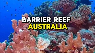 Nature's Top 10 Wonder's