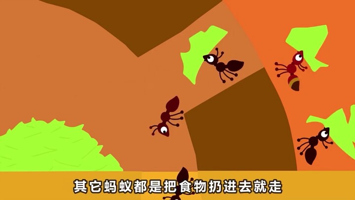 Một bầy kiến chỉ biết lười biếng cuối cùng lại tìm ra cách làm việc nhanh chóng!