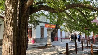 Ghé thăm Đường Xuân và kể câu chuyện về Hương Sơn