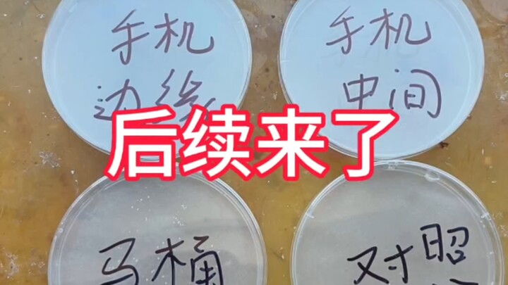 The follow-up to the phone-vs-toilet agar plate experiment is here.