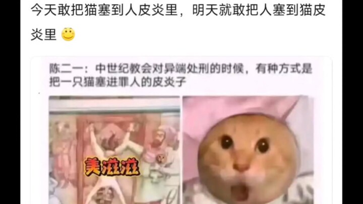 我看这教会也是略猫区啊