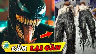 Khóc Thét Trước 7 Lần VeNom & Các Siêu Anh Hùng Xuất Hiện Ngoài Đời Thực Vô Tình Được Camera Ghi Lại