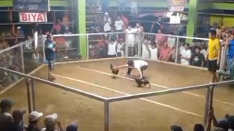 Gilmore sweater #gawang Guimaras