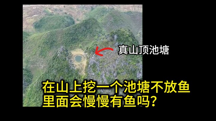 Orang dahulu bilang "telur ikan seribu tahun", apakah ikan bisa tumbuh dari tanah?