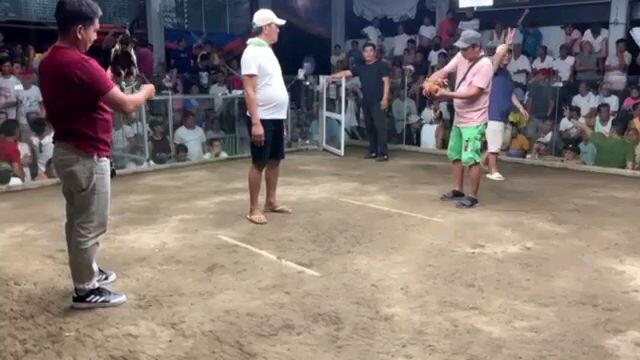 possum grey dark side win