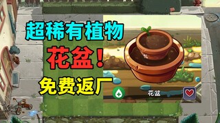 绝版植物花盆免费返厂了，这次不拿血亏