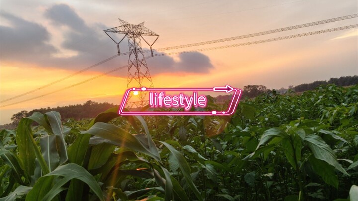 my lifestyle