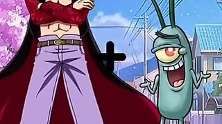 One Piece and Spongebob Squarepants Fusion