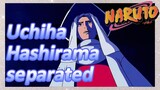 Uchiha Hashirama separated