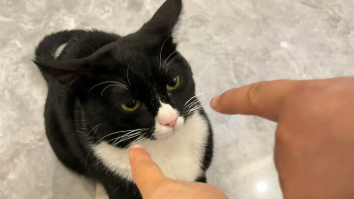 มา ชี้ให้ตายเลย