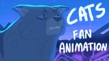 CATS - MEMORY   [ FAN ANIMATION ]