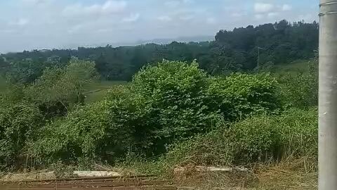 jalanan yang indah di jakarta