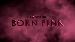 DAILY STORY VLOG || DEADLINE & BORNPINK || PART 2 BORN PINK