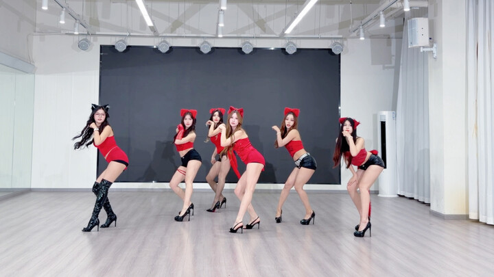 Such a fragrant, fluffy little cat practice room—cat‑step charm, full‑cast version
