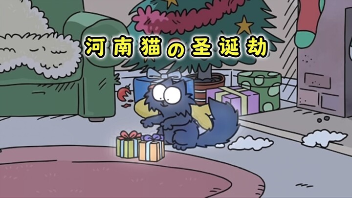 The Former Stray Cat’s Gratitude