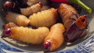 BẮT VÀ ĂN TẠI CHỔ ĐẶC SẢN MIỀN TÂY | Chuyện Phương Kể • Tập 132