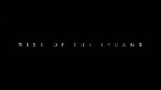 Underworld_Rise_of_the_Lycans_English_Movie_2009_With_English_Subs_1080p