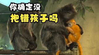 长得不像父母的动物幼崽！