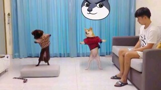 very genius part2🥰🥰🥰🥰🥰😅😅😅😅but bad assss🤣🤣🤣🤣🤣