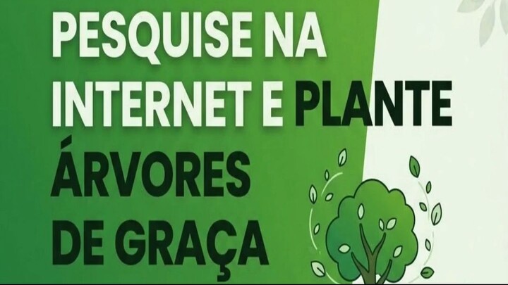 PESQUISE NA INTERNET E PLANTE ÁRVORES DE GRAÇA