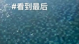 当南方人第一次遇到结冰水面...