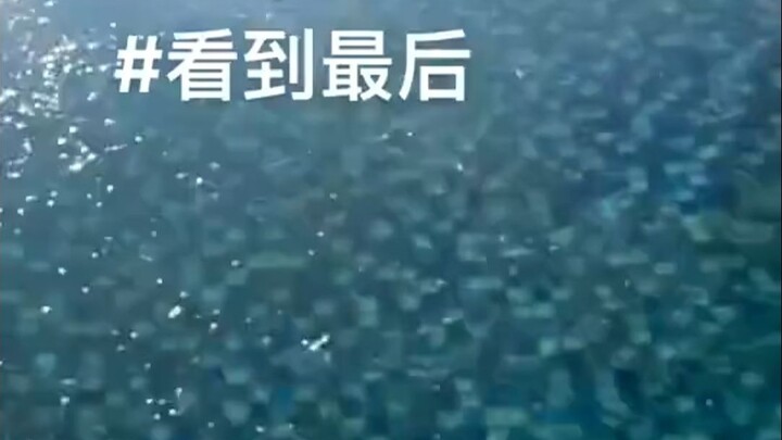 当南方人第一次遇到结冰水面...