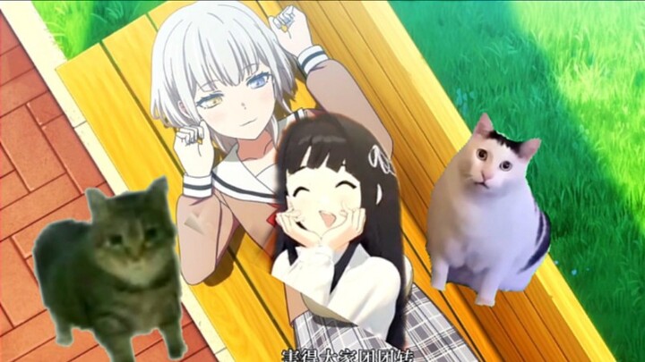 乐奈醒来看见各种猫猫