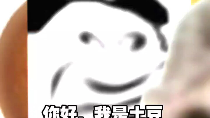 【ks奶猫不是屑】Up主探索中，欢迎收看求三连！