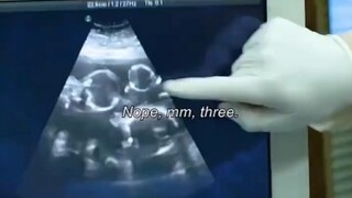 “我要生一窝了。要约兽医。”哈哈哈哈……《无耻之徒》