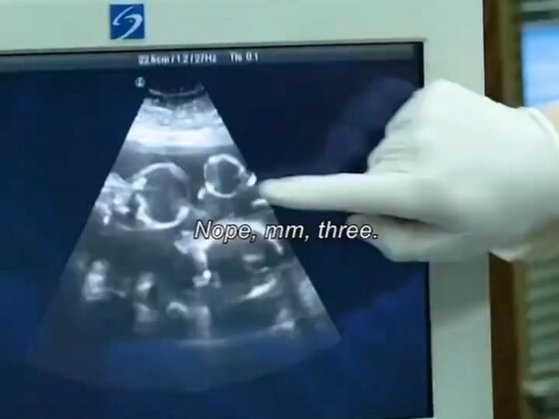 “ฉันใกล้จะคลอดแล้วนะ ต้องนัดสัตวแพทย์หน่อยแล้ว” ฮ่าฮ่าฮ่า... "ครอบครัวสกปรก"