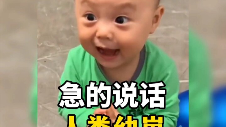 盘点那些急的说话的人类幼崽