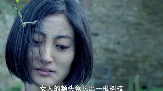 一种可怕的病毒出现，感染者会失去所有感觉，最后变成一株植物！