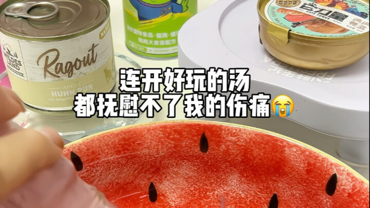 Đọ sức bát cỡ lớn cho thú cưng