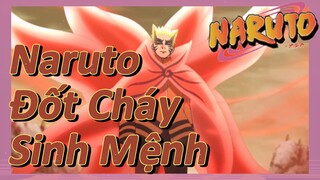 Naruto Đốt Cháy Sinh Mệnh