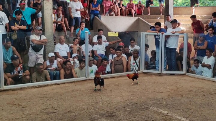 The Blueface Cross 3x