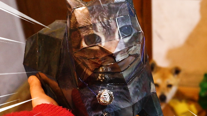 Ini hewan peliharaan baruku oiiaioiiiiai