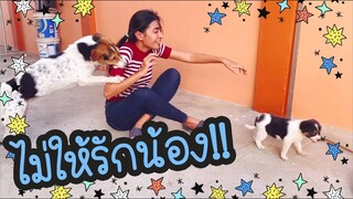 โลกของแสนดี ตอน อิจฉาน้องจัง