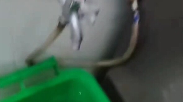 Xiao Qiang: So there's a way to die like this after all!