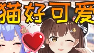 Nanami SC clarified that she did not insult the VR boss, and Azi suspected that she used the beautif
