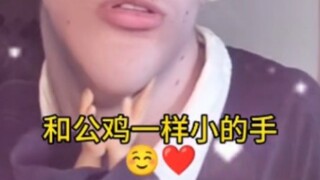 Latihan perawatan ayam jantan jiafei