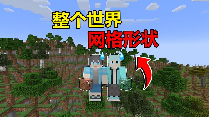 What if the entire world of Minecraft turned into a grid?!