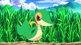 Pokémon: Vine Snake (Sister Snake) yang arogan dan dapat diandalkan