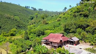 Ngôi Nhà Sàn 30 Năm Dưới Hủm Núi Sắp Bị Gỡ Bỏ | Hoa Ban Tây Bắc