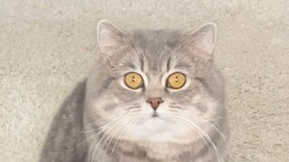 College students' eyes