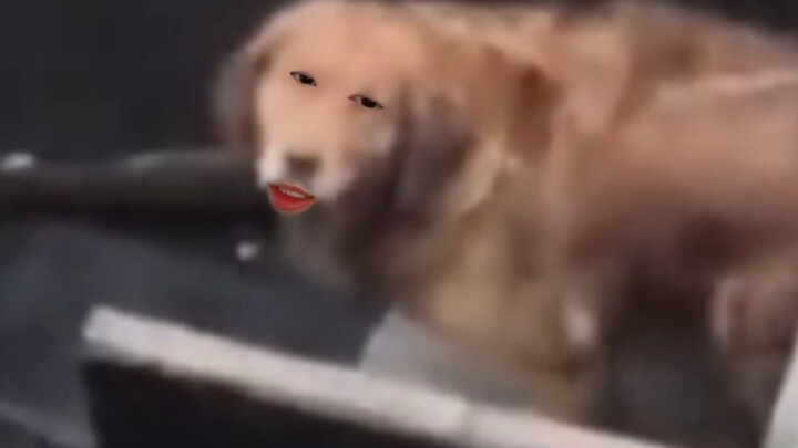 你是来搞我心态的吧