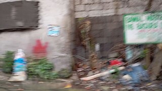 Animax Godzilla Minus One Daily Life Middle Aged Online Shopper Grand Blue