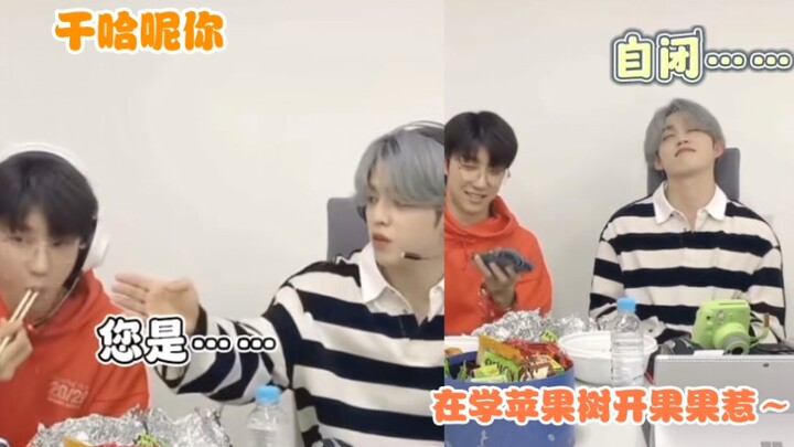 [Next Person] Relying Entirely on Self-Study for Chinese [SEVENTEEN] [Chinese Mini-Class]