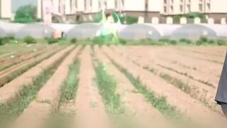 cabai jadi uang mentimun menjadi HP ladang ku sungguh tidak masuk akal