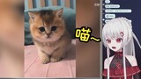 日本辣妹：我也想养可爱的小猫咪啊！